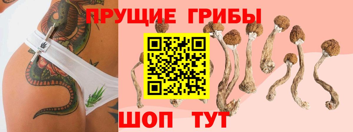 Метадон Гусев
